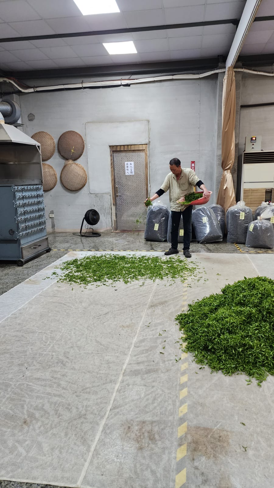 Hsinchu Tea Factory